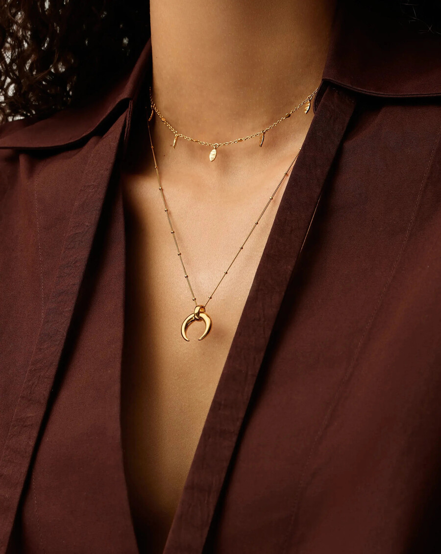conjunto de collar de cuerno y gargantilla con dije de hoja de lucy williams