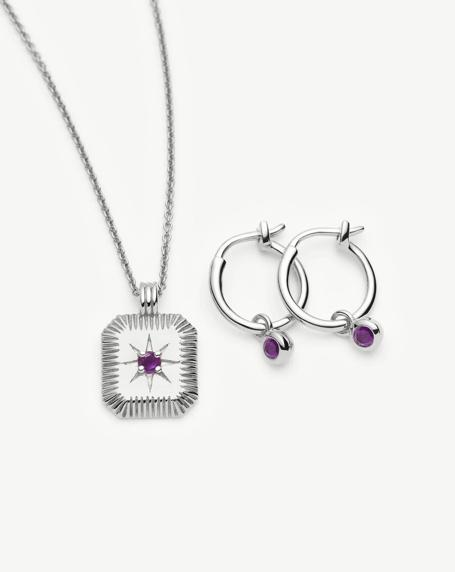 conjunto de collar y pendientes con dijes de piedra natal de febrero - plata